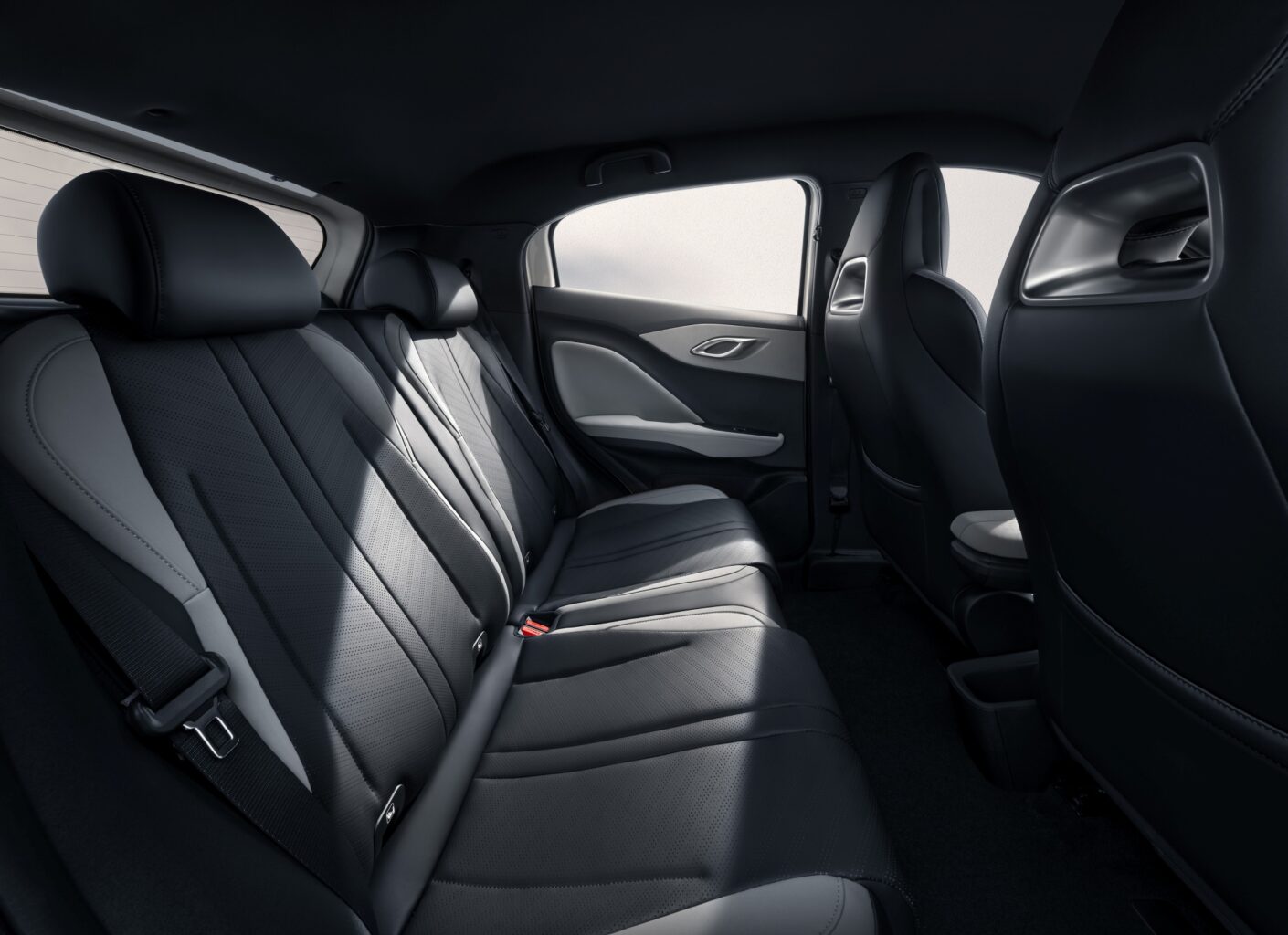 BYD Dolphin Surf