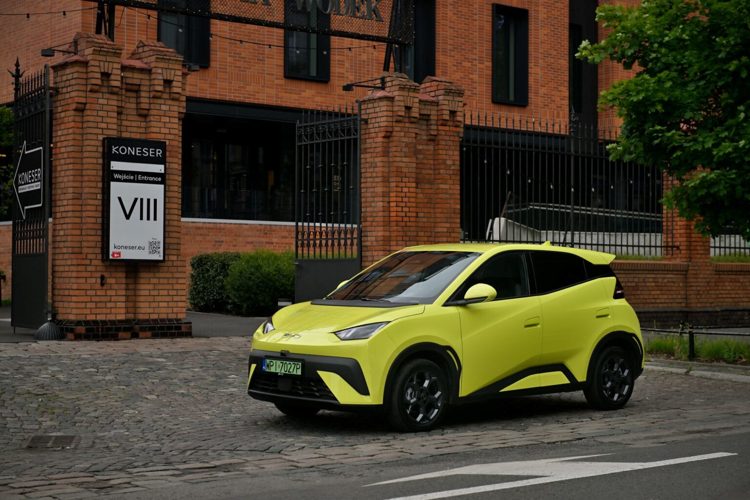 BYD Dolphin Surf