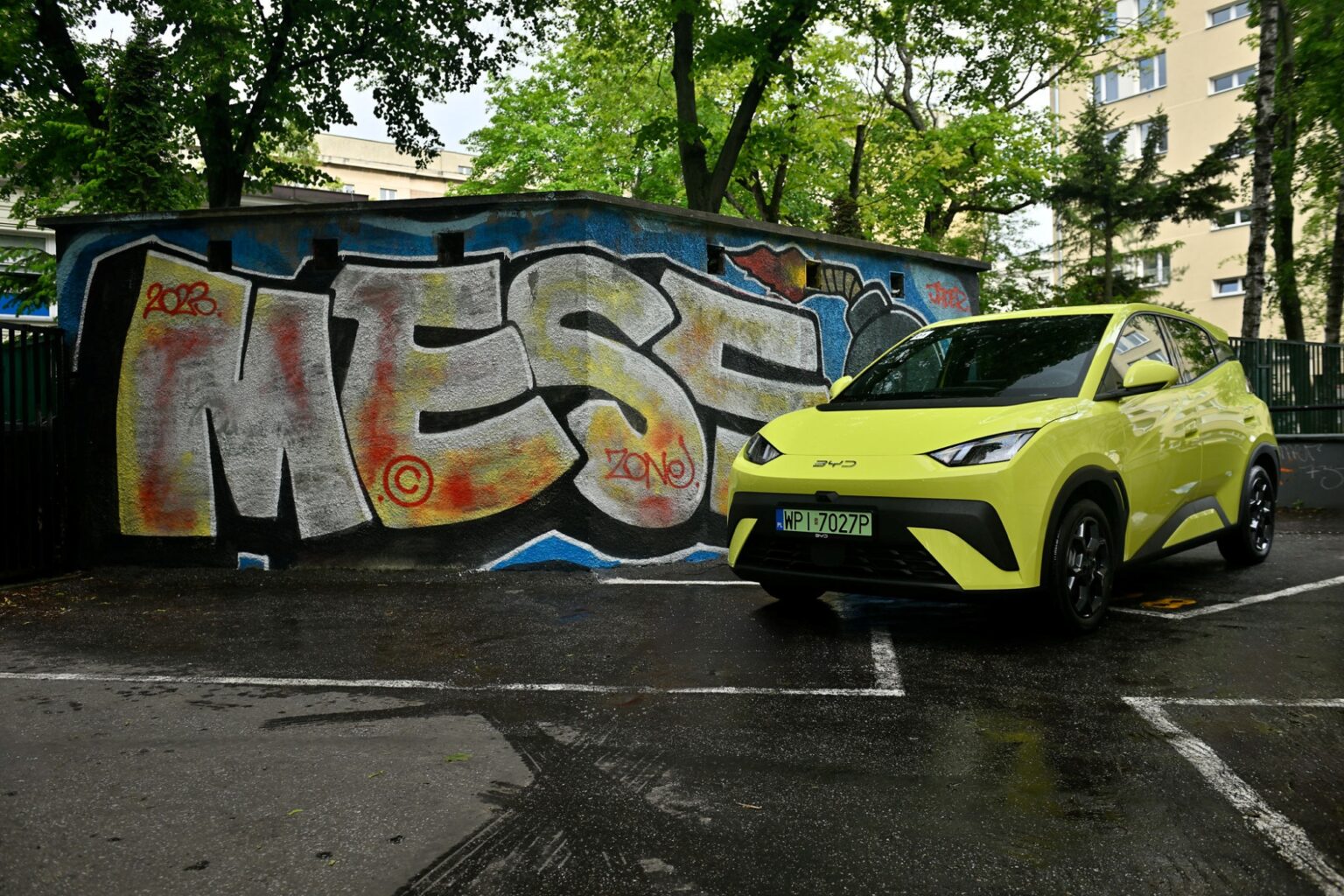 BYD Dolphin Surf